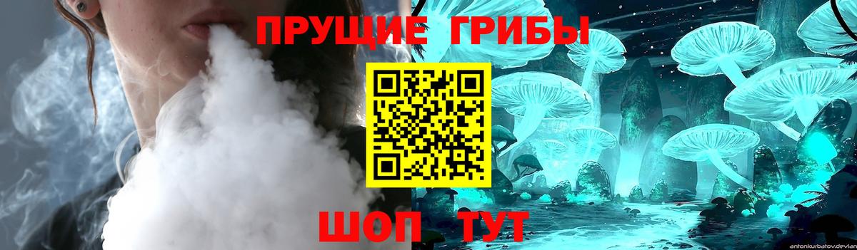Псилоцибиновые грибы Psilocybe  Вход с VPN  Каменск-Шахтинский 