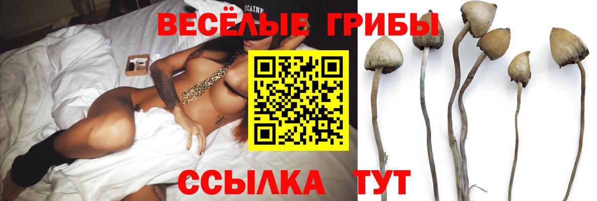 Галлюциногенные грибы Magic Shrooms Каменск-Шахтинский